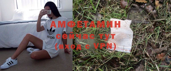 мдпв Богданович