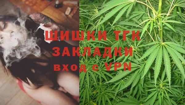 дурь Рославль