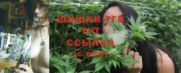 мдпв Богданович